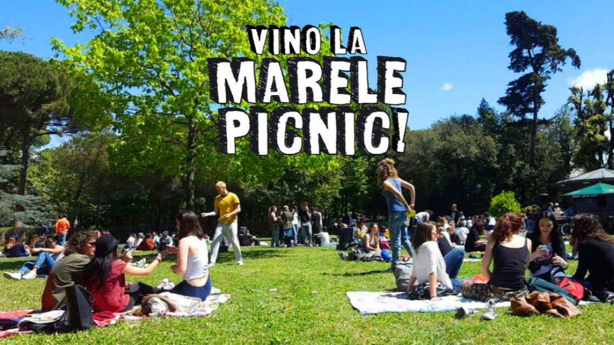 Familiarizează-te cu harta și programul Marelui Picnic cu trupa TAXI de la Mileștii Mici