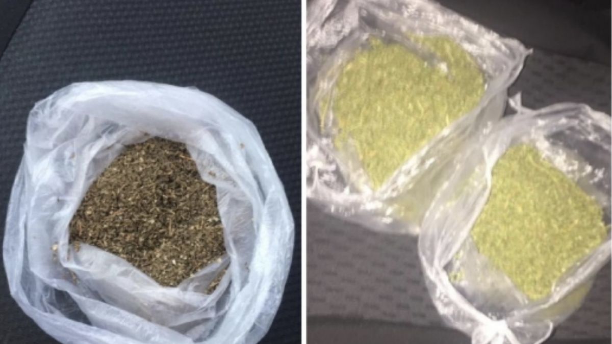 13 percheziții în nordul țării. Polițiștii au ridicat un kilogram de marijuana