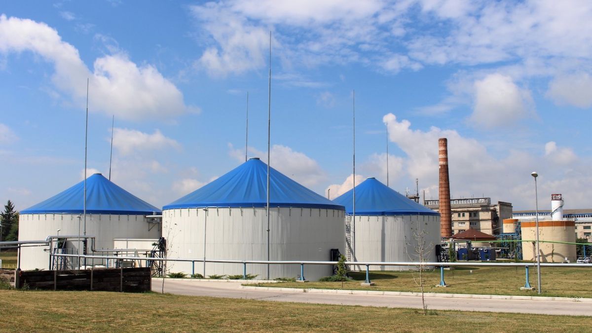 Cel mai mare producător de zahăr din țară celebrează 20 de ani de activitate: investiții de milioane în modernizare și „energie verde” (VIDEO)