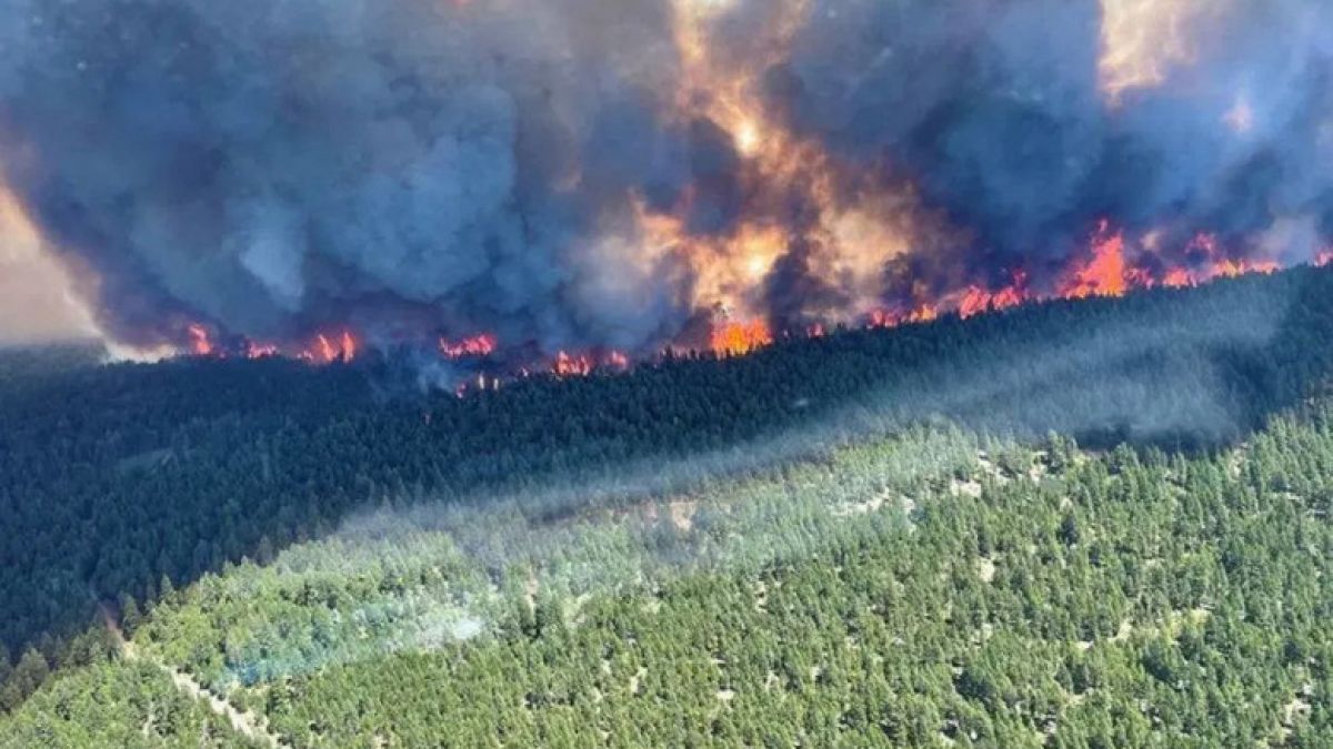 500 de oameni au murit în Canada. Situația riscă să fie și mai rea - „cupola de căldură” se deplasează spre preerie