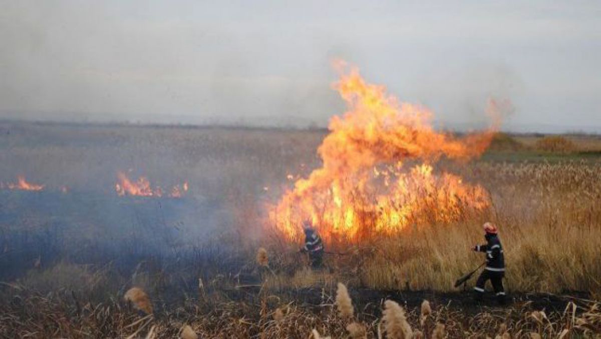 60 de intervenții ale pompierilor pentru stingerea focarelor de vegetație aprinsă