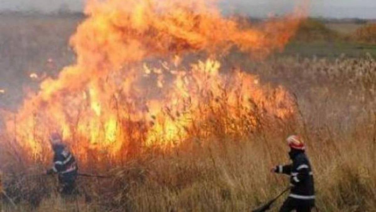 Peste 70 de ha de teren, cuprins de flăcări în ultimele 24 de ore