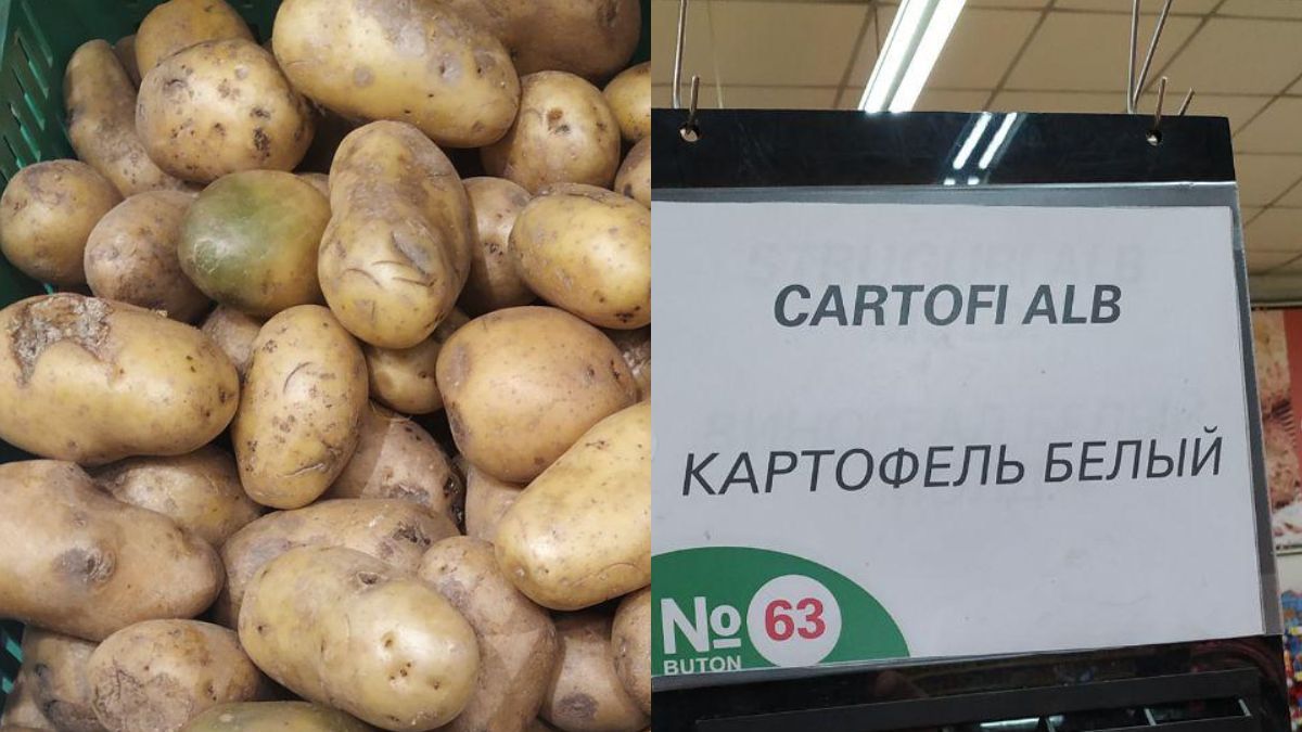 ANSA explică de ce sunt stricați și scumpi cartofii: În trei ani, suprafața de plantare a acestei culturi s-a micșorat cu 2.000 de ha