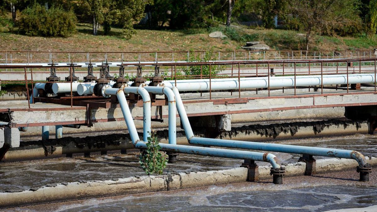 Trei tone de resturi de pește, depistate la Stația de Epurare. Apă-Canal: Mirosul neplăcut din capitală e generat de unii agenți economici