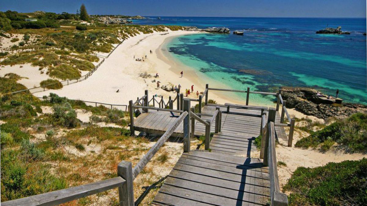 Australia: Plaje închise și mii de persoane înțepate de creaturi marine transparente