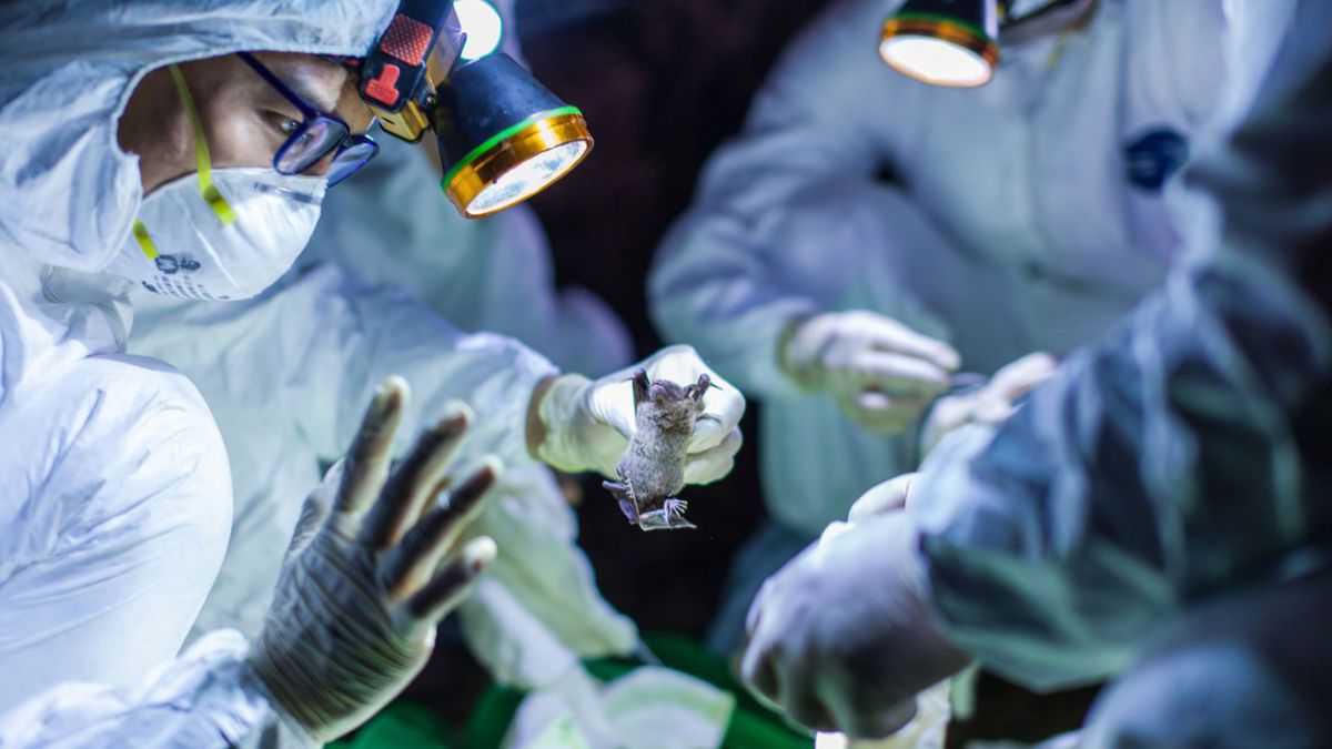 Bilanțul deceselor cauzate de coronavirus a trecut pragul de 900 de oameni