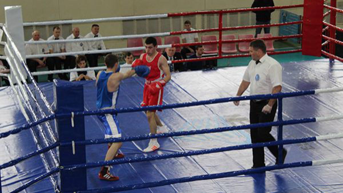 Boxerii din Grimăncăuți au câștigat șapte titluri naționale