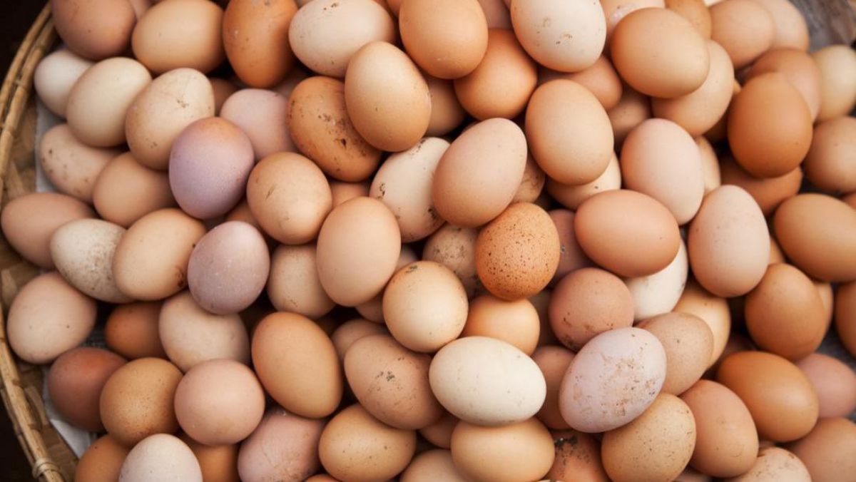 Câte ouă mănâncă o persoană timp de un an sau câte ouă se produc anual. Curiozități de Paște (INFOGRAFIC)