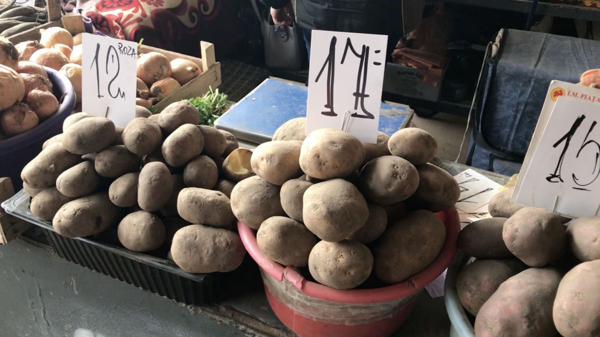 Deputații ACUM cer explicații privind prețul de comercializare a cartofilor: Suspectăm existența unor înțelegeri obscure (DOC)