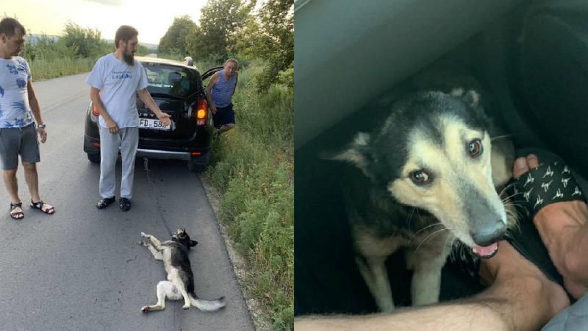 Dosarul pe numele lui Văluță, clasat. Diaconul: Rușine autorilor isteriei paranoice și dezinformatorilor