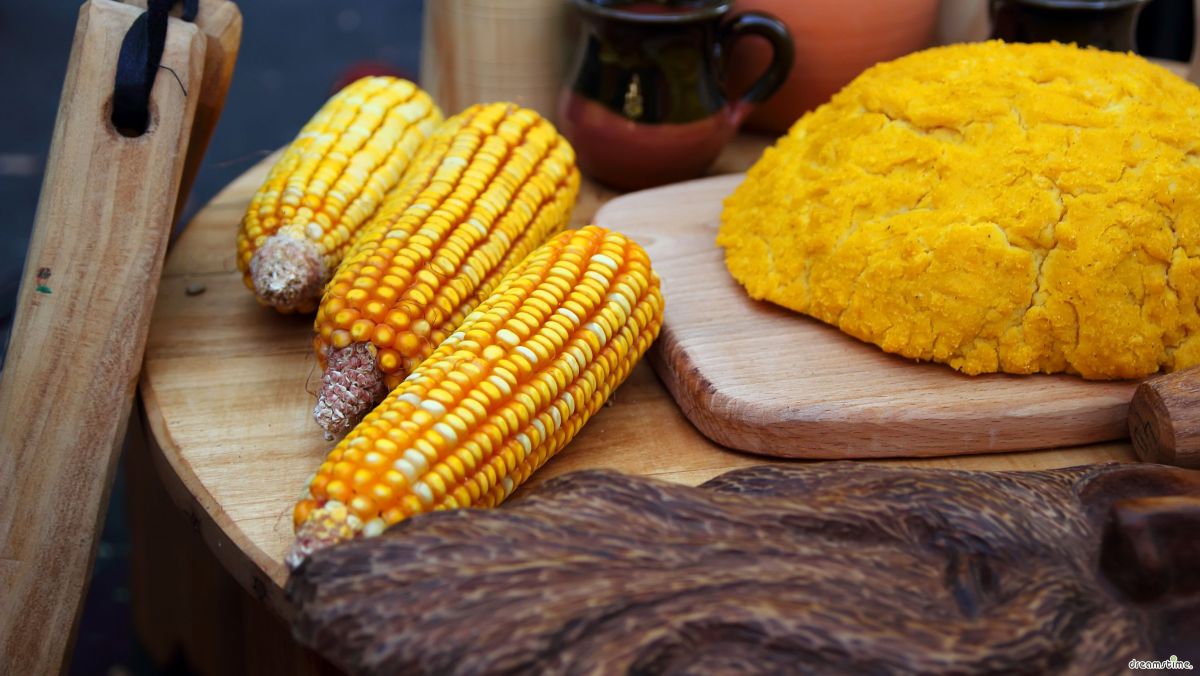După ce beau de Ziua Vinului și chefuiesc de Hramul capitalei, moldovenii vor sărbători Ziua Mondială a Alimentației. Când va fi marcată
