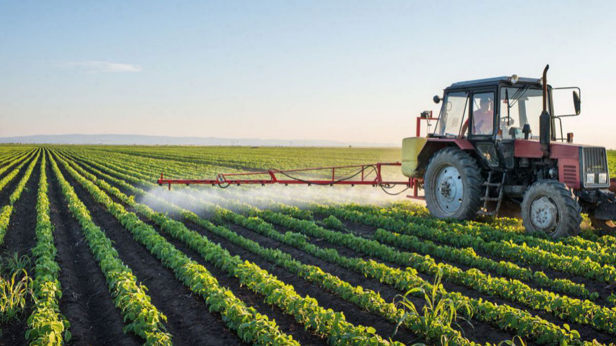 Expert: Fermierii nu știu să lupte cu condițiile climaterice, iar agricultura bate pasul pe loc
