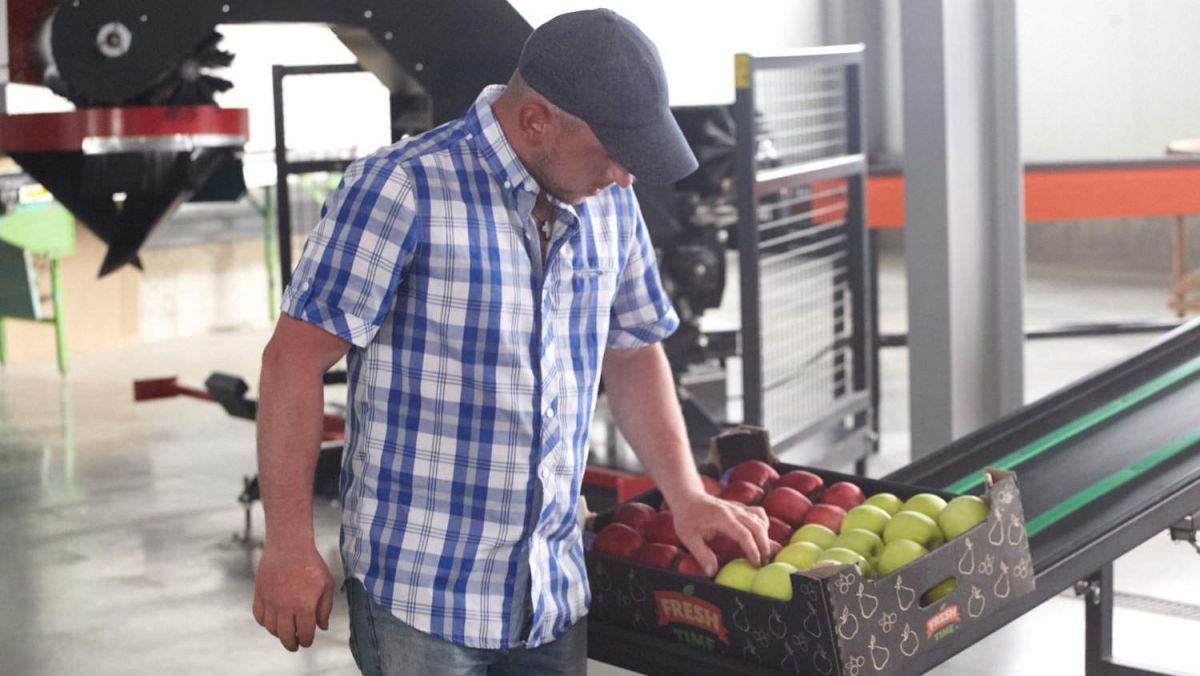 Exportator de mere în Golful Persic: „Asocierea în agricultură nu este doar despre accesarea granturilor, ci despre capacitatea de producere”
