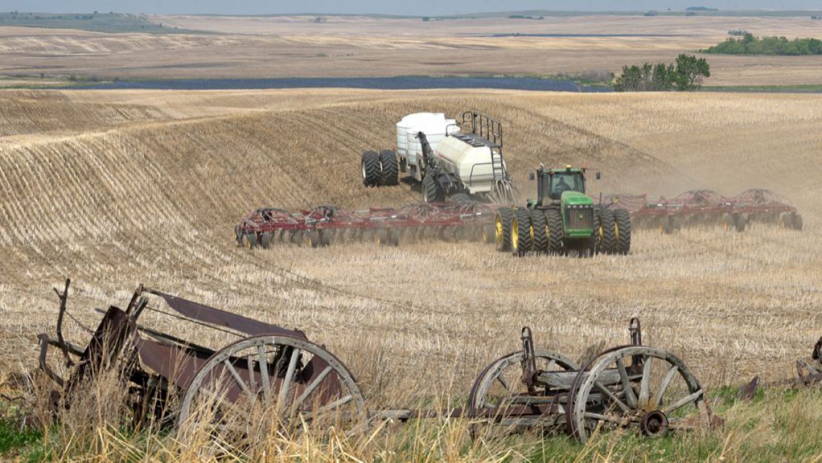 FAO oferă Moldovei bani pentru combaterea degradării terenurilor agricole