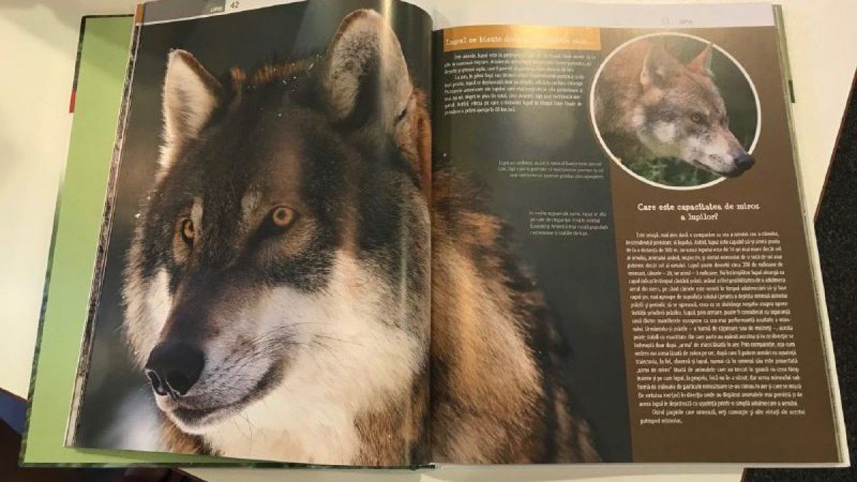 Enciclopedia Animalele: 300 de fotografii și informație pentru toate vâstele, despre fauna din Moldova (FOTO)