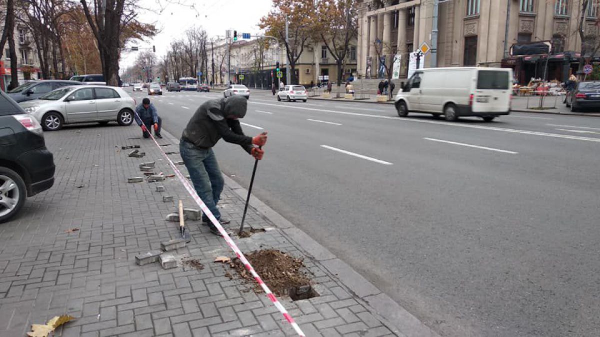 Gata cu parcarea pe trotuarul de pe bd. Ștefan cel Mare. Autoritățile montează piloni de limitare a accesului