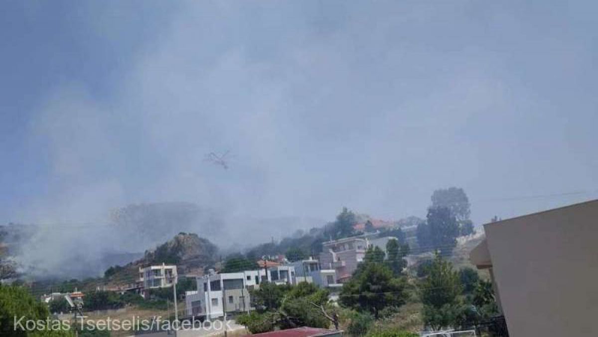 Incendiu în Grecia pe fondul valului de căldură. A fost afectată o zonă rezidenţială din apropierea Atenei