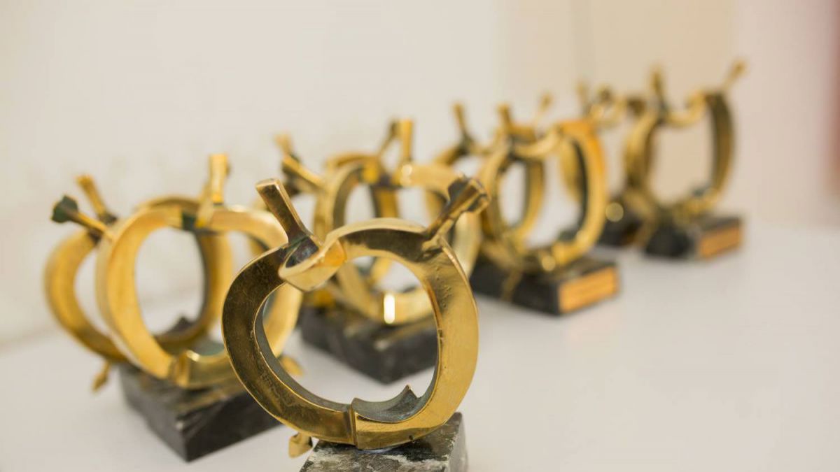 Jurnaliștii anului 2018. Iată cine s-a ales cu premii