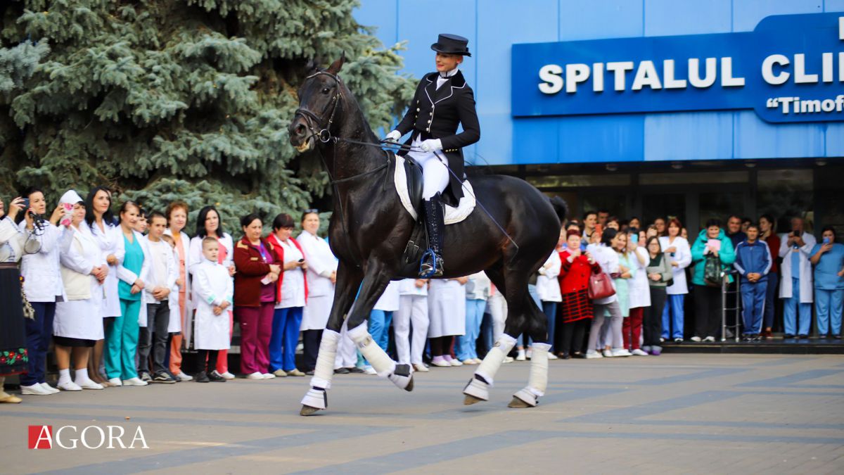 Medicament din „cai putere”. Pacienții unui spital din Chișinău au interacționat cu caii, într-o formă de terapie (FOTO)