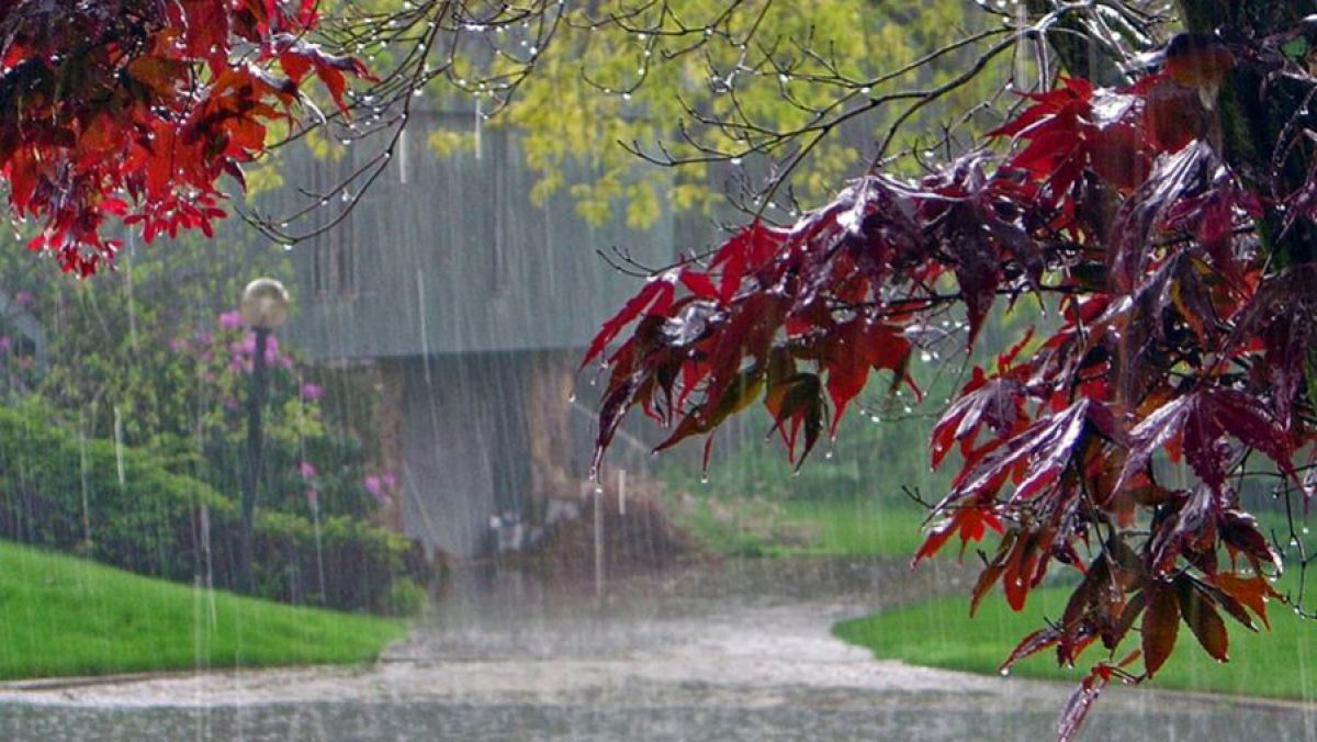 Meteo: Ploi pe întreg teritoriu țării. Iată ce valori maxime ne așteaptă azi