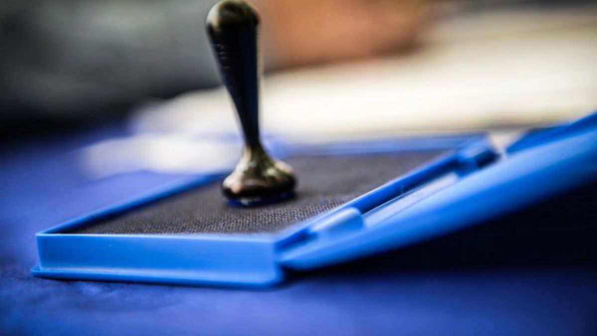 PCRM a decis: va participa la alegerile parlamentare atât pe circumscripții, cât și pe liste de partid