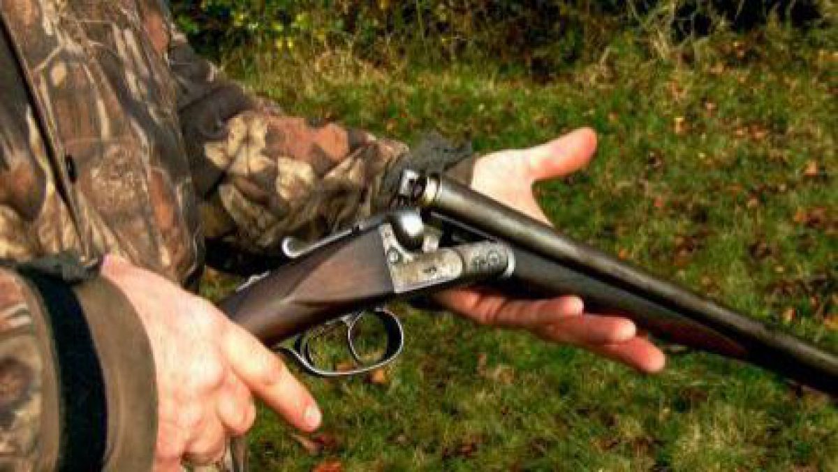 Au tras cu arma de vânătoare în paznicul unei vii pentru cinci struguri de poamă