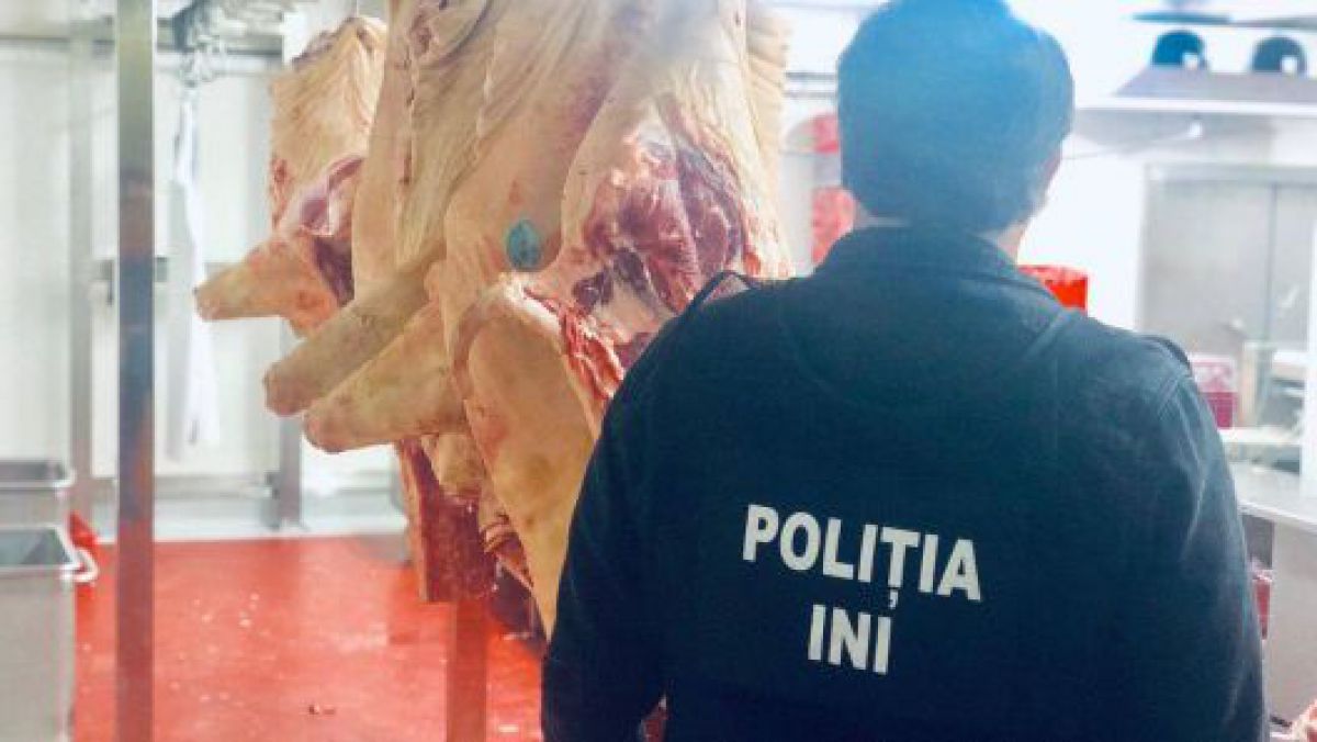 Percheziții și arestări la un producător de mezeluri din Chișinău pentru fals în acte și evaziune fiscală (FOTO, VIDEO)