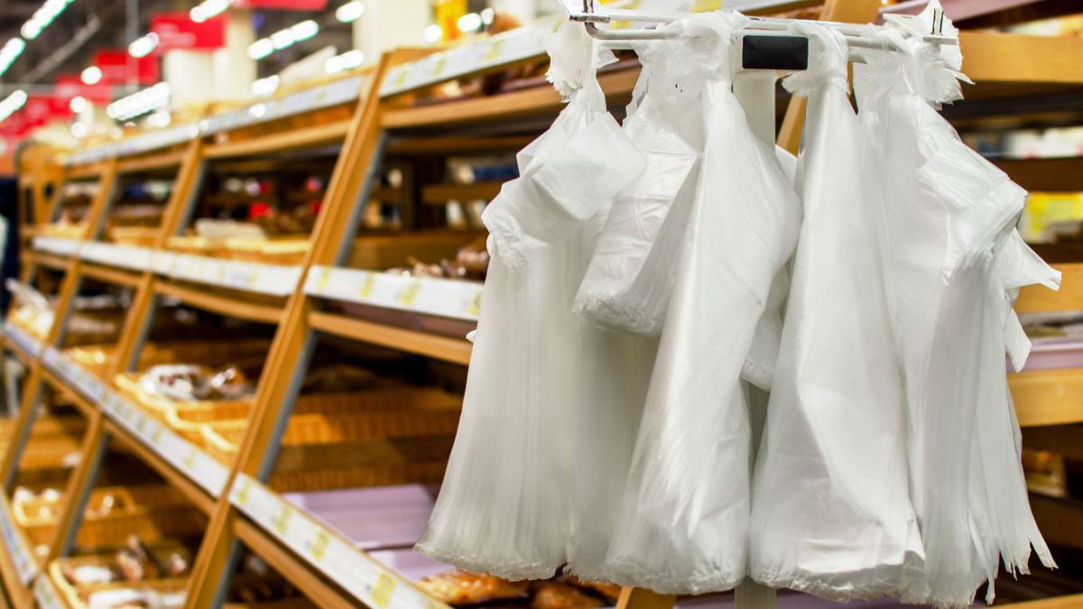 Pungile biodegradabile câștigă teren. Cât costă alternativele sacoșelor din plastic, în magazine (FOTO)