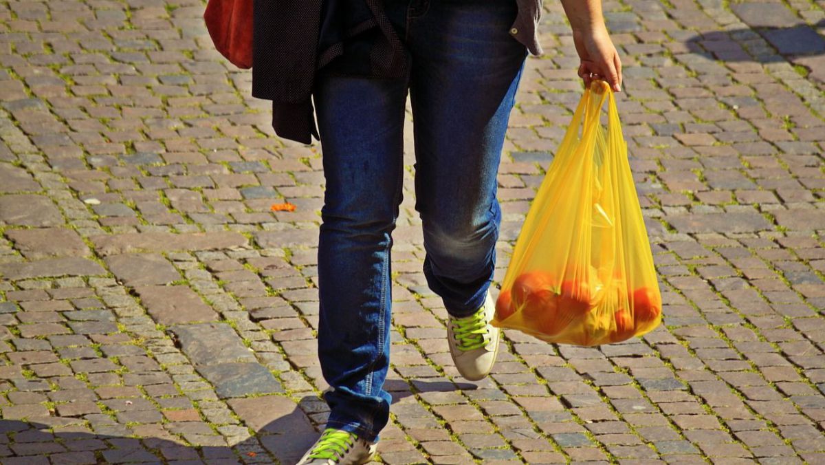 Pungile din plastic, din nou pe masa deputaților. Alaiba: „Nu pungile de hârtie sunt scumpe, pungile de plastic sunt ridicol de ieftine”