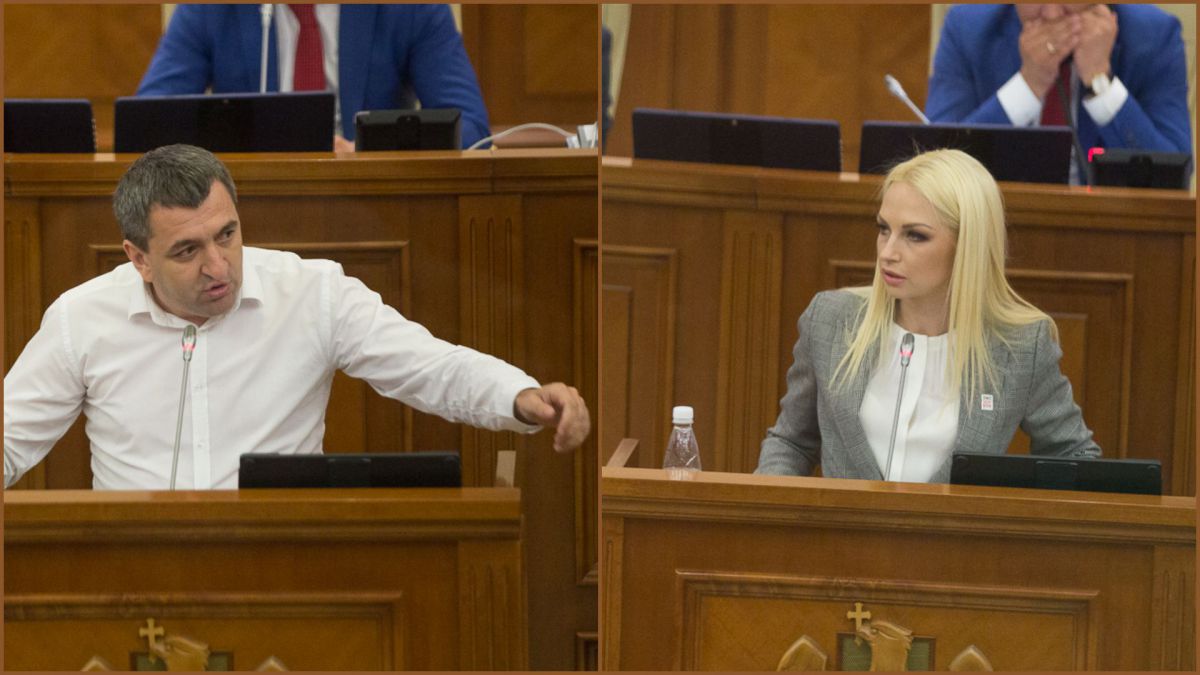 Replici acide în Parlament. Carp, către Tauber: „Hoațo, întoarce banii înapoi” (VIDEO)