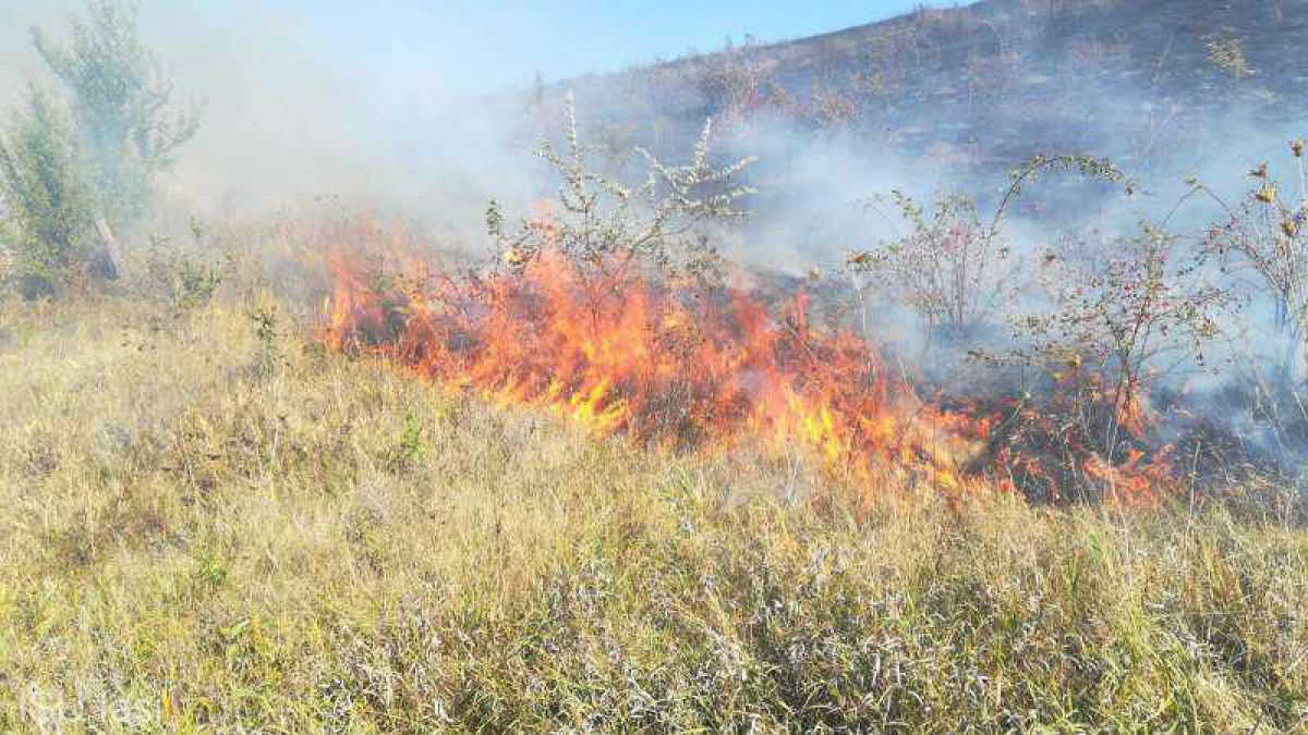 România: Incendiu de vegetație la Iași. Peste 50 de hectare de teren au fost afectate