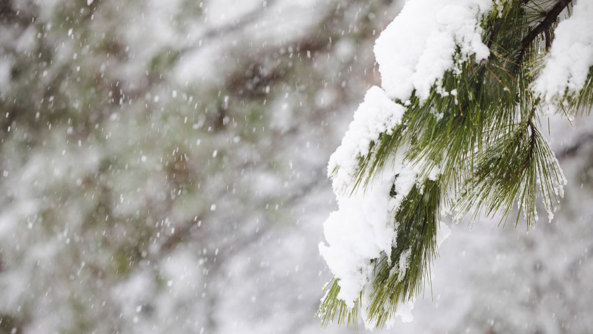 Săptămâna începe cu ninsori și polei. Meteorologii au emis cod galben în acest sens