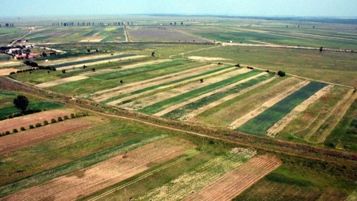 Sechestru și percheziții în cazul prelucrării ilegale a terenurilor agricole din Drepcăuți