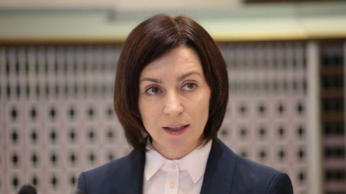 Secretarii de stat și reprezentanții Guvernului în teritoriu care au făcut campanie Partidului Democrat vor fi demiși (DOC)