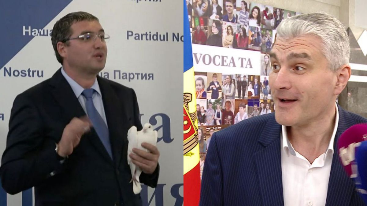Slusari, despre porumbelul trimis de Usatîi cu pagini care ar fi din raportul Kroll: Nici hulub n-a ajuns, nici cioroi. Nicio pasăre nu a venit