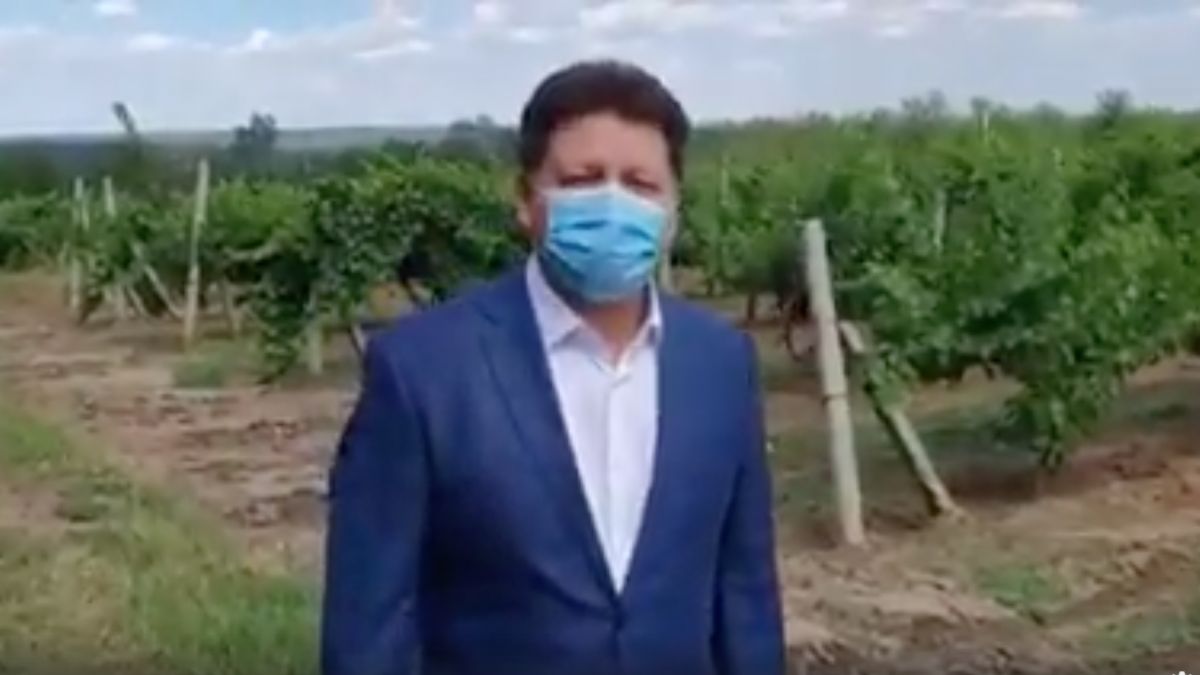Ștefan Gațcan apare într-un mesaj video, într-o vie: „Sunt bine, nu sunt sechestrat. Am nevoie de reabilitare” (VIDEO)