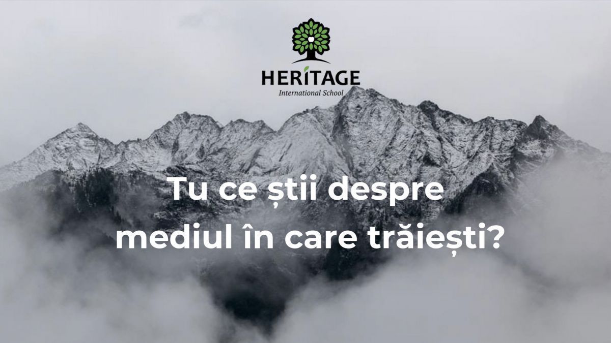 Tu știi ce cantitate de deșeuri produce omul pe parcursul vieții? TOP 10 curiozități despre mediul în care trăim (QUIZ)