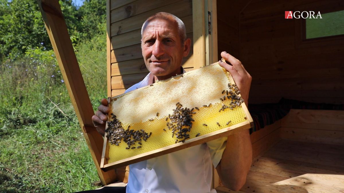 Casa zumzăitului relaxant. Un apicultor din Chișcăreni a amenajat două căsuțe unde muncesc un milion de albine, pentru ședințe de api-terapie (VIDEO)