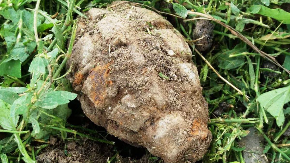 Un băiețel din Germania a descoperit o grenadă din Al Doilea Război Mondial și a adus-o acasă în rucsac