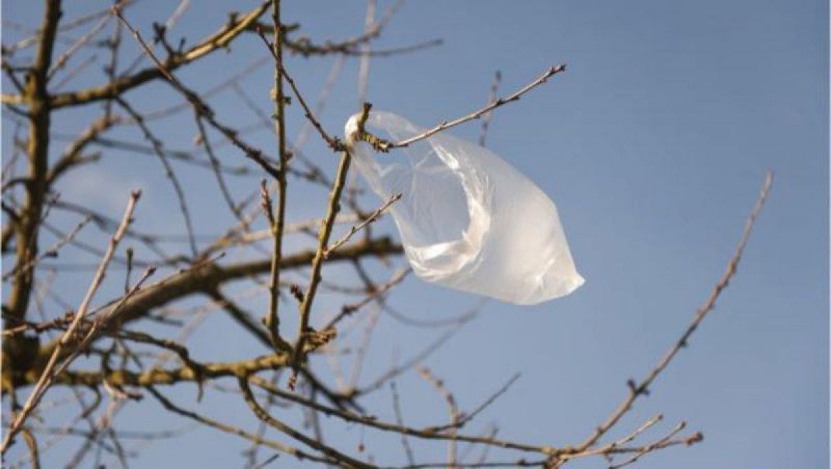 Un deputat ACUM vrea să afle cum a devenit nefuncțională legea care interzice pungile din plastic (DOC)