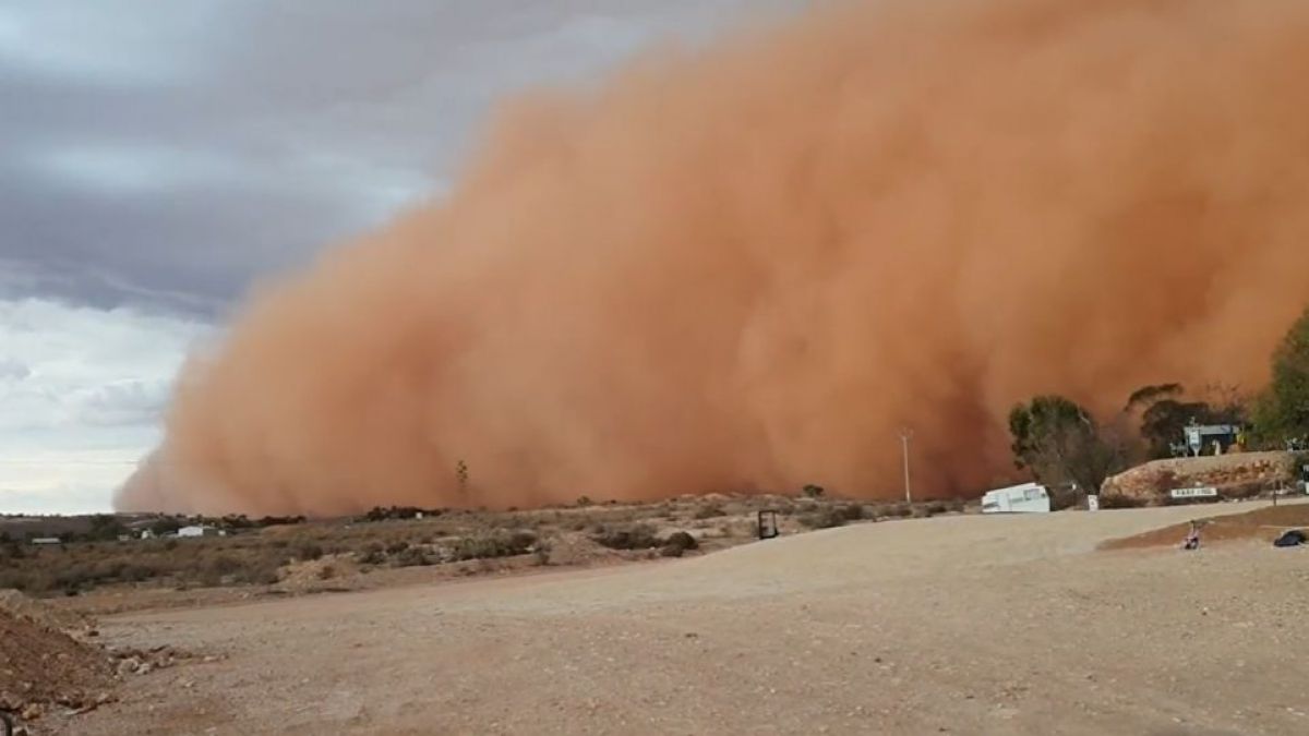 VIDEO. Fenomenul care a creat haos într-un oraș din Australia