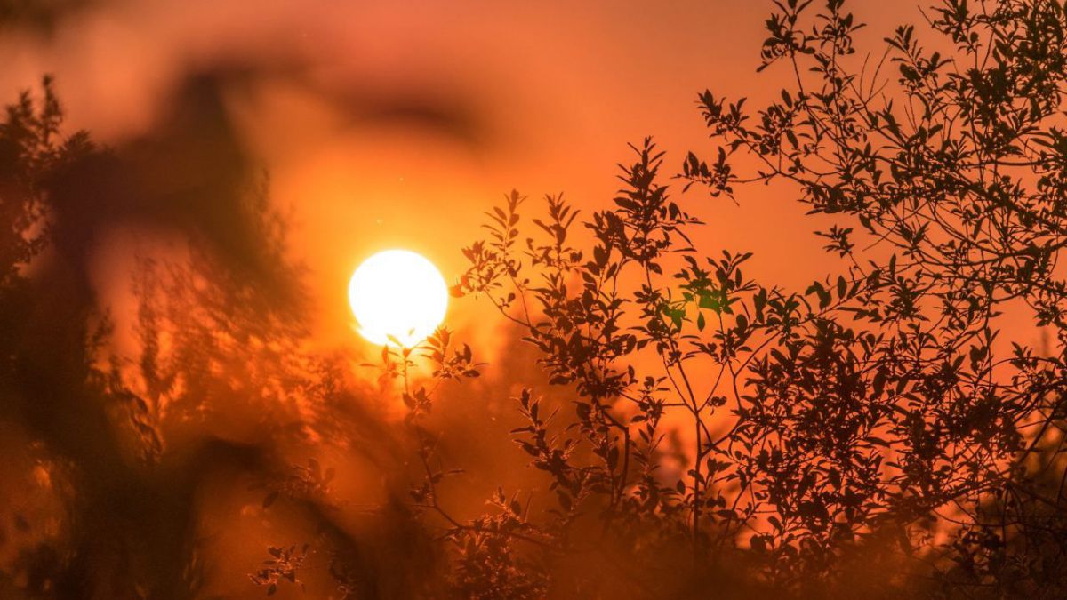 Weekend de foc. Meteorologii au emis cod galben de caniculă