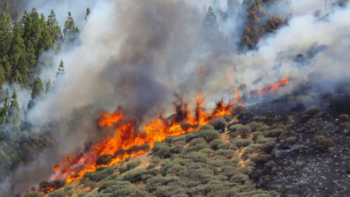 Zonă turistică a Spaniei, evacuată. Aproximativ 1.000 de oameni au părăsit zona afectată de incendiile care ameninţă mai multe oraşe (VIDEO)