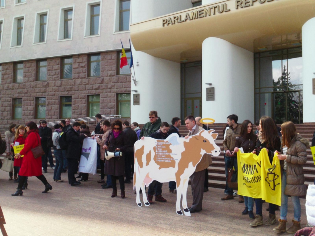 Acțiune de protest în centrul capitalei: Im(p)unitatea parlamentară nu este o vacă sacră!