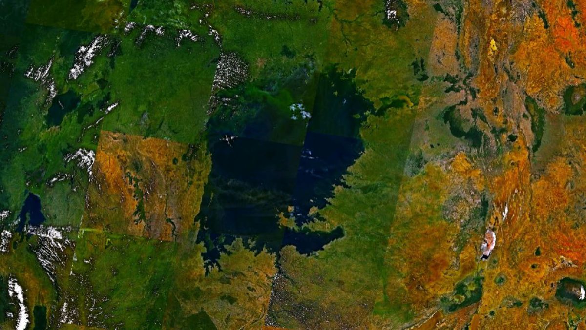 Africa ar putea fi acaparată de secetă. Lacul Victoria, din ce în ce mai gol