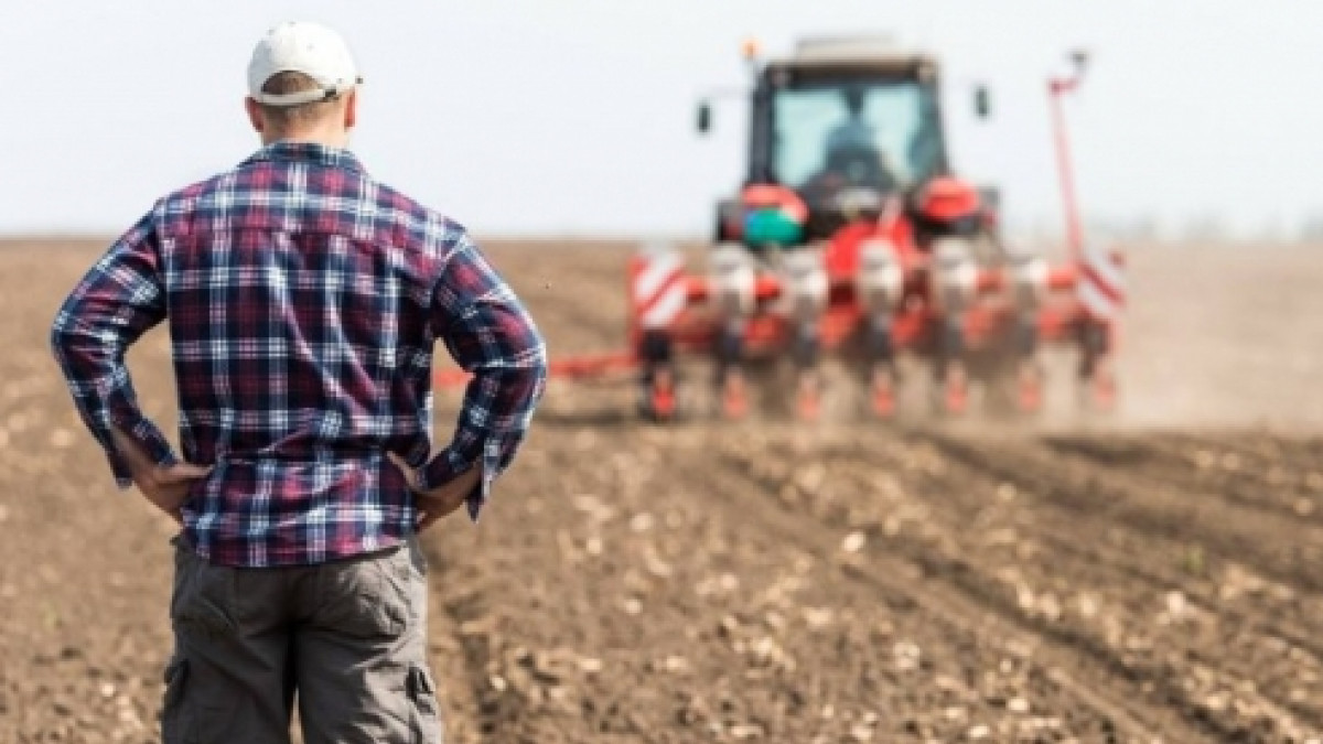 Agricultorii au fost auziți? Guvernul va compensa 100% din acciza la motorină pentru întreprinderile micro, mici și mijlocii