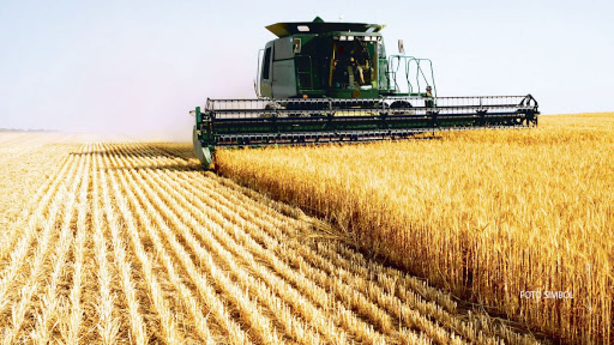 Agricultorii cer ajutorul autorităților. PAS propune adoptarea unui pachet de măsuri pentru sectorul agricol, afectat de secetă și înghețuri