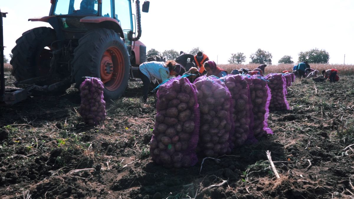 Agricultorii din Leova au putut accesa credite cu mai puține garanții, prin intermediul Băncii Europene de Investiții (VIDEO)