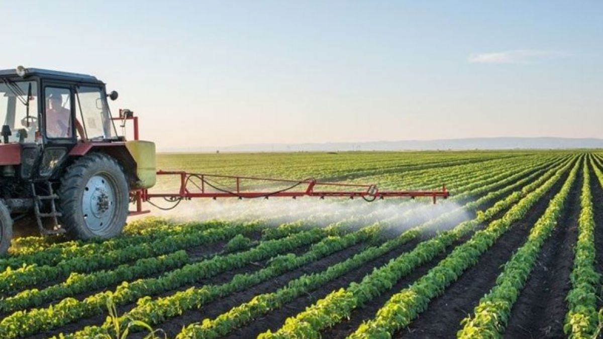 Agricultorii mici, mijlocii și, mai nou, micro, cu mai mult acces la subvenții. Proiectul de lege, votat de parlamentari
