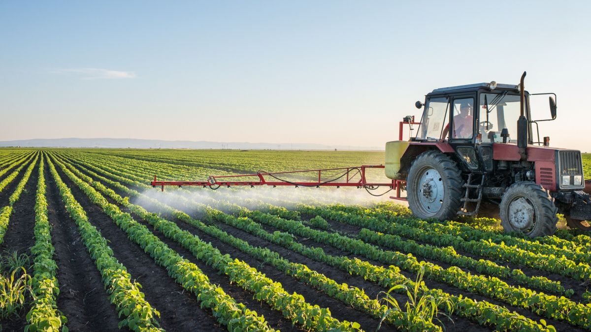 Agricultorii nu vor mai trebui să prezinte certificate care demonstrează lipsa datoriilor pentru a beneficia de subvenții. Modificarea e valabilă pentru 2020-2021